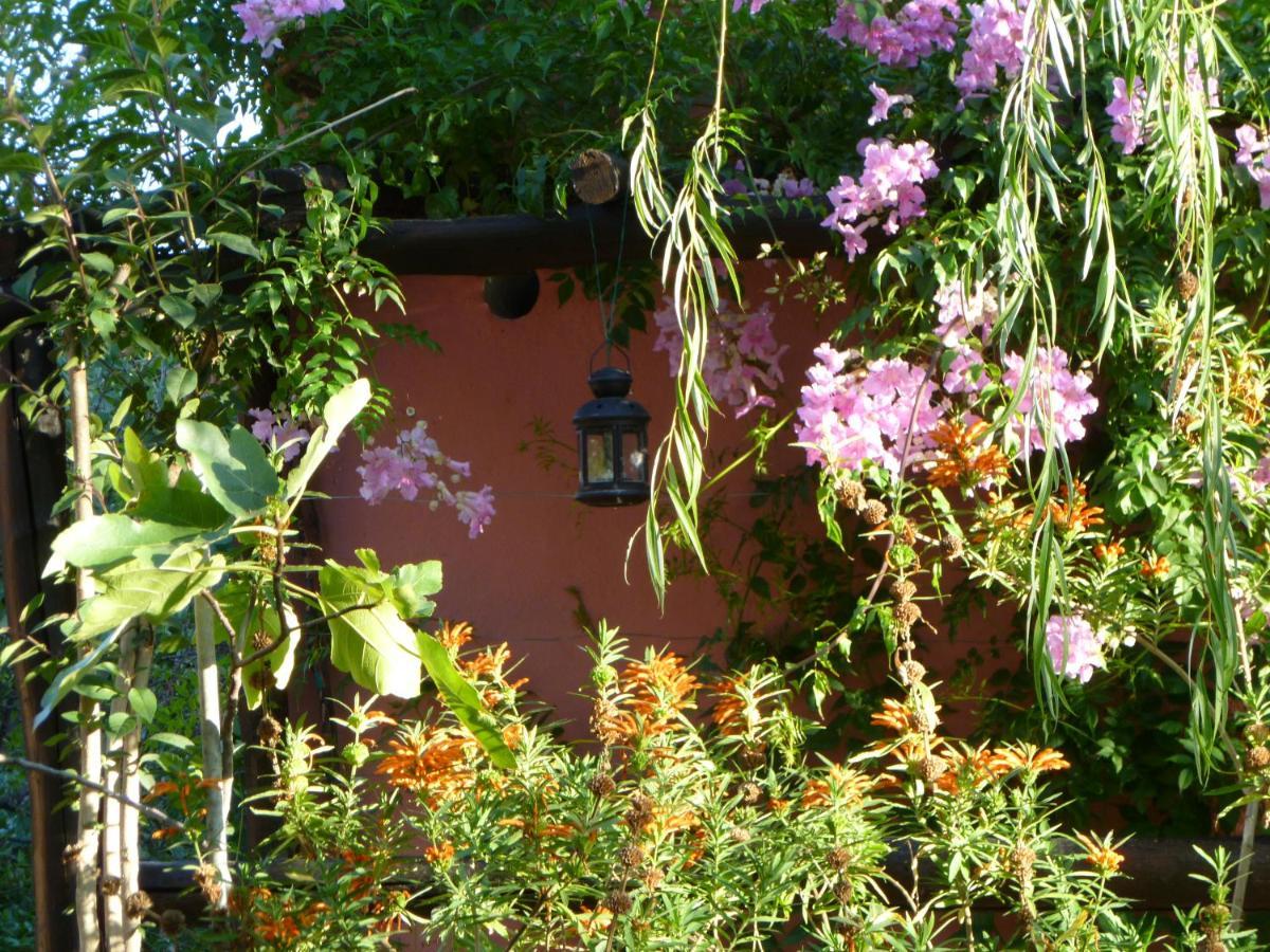Eco Moyano Posada Gaucín Exteriör bild