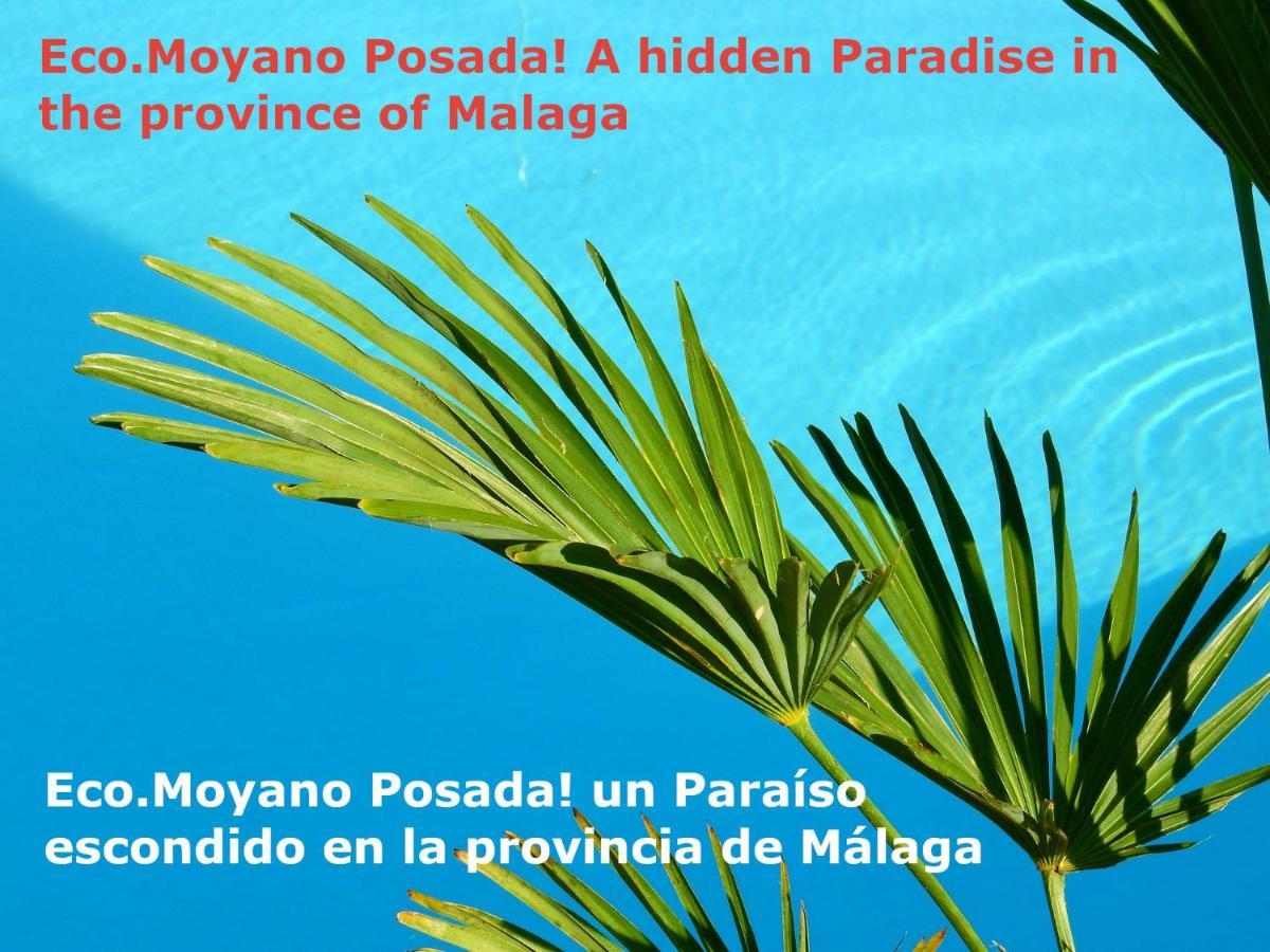 Eco Moyano Posada Gaucín Exteriör bild