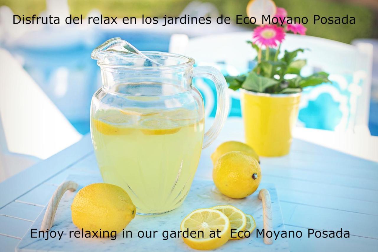 Eco Moyano Posada Gaucín Exteriör bild