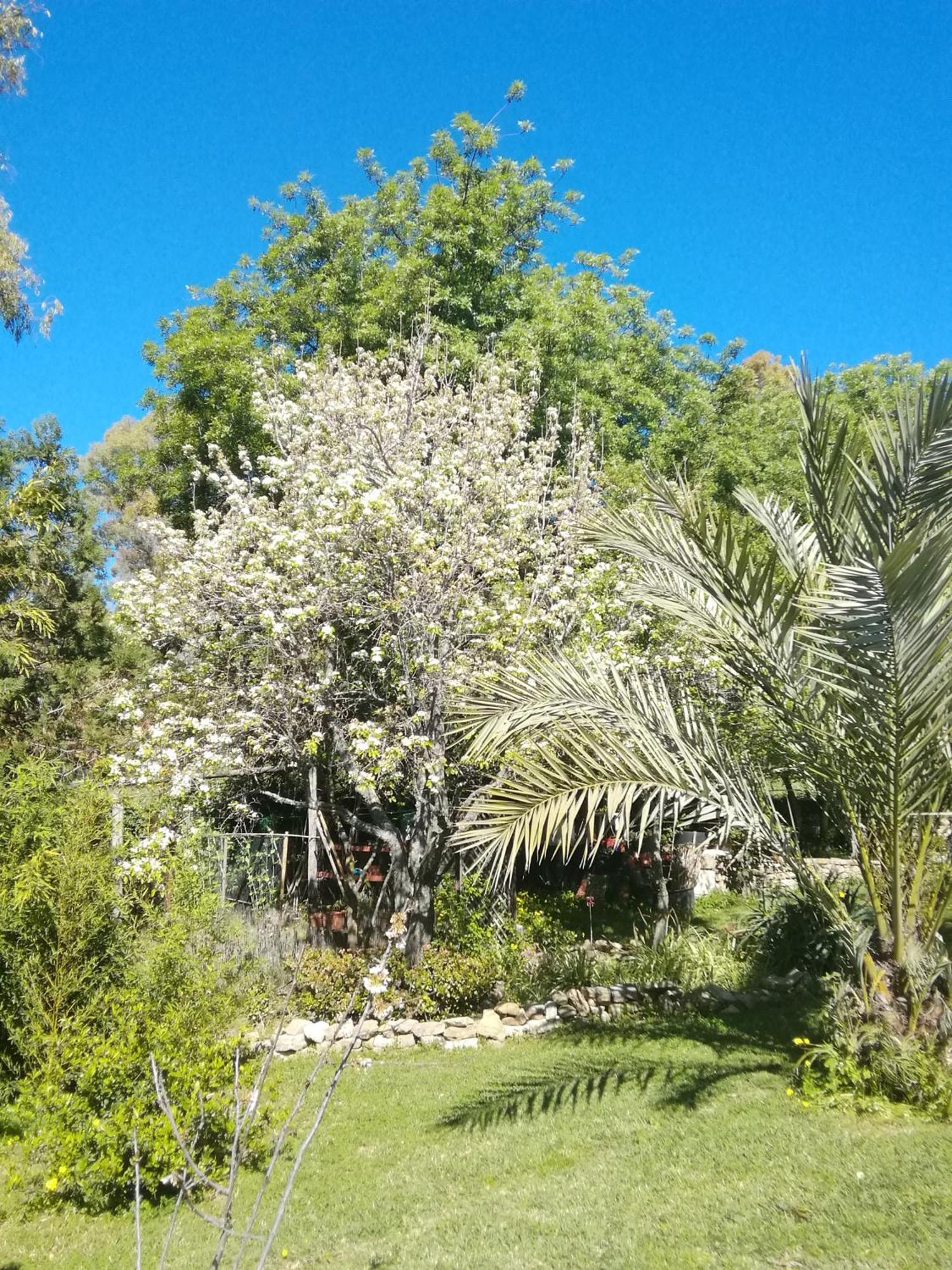 Eco Moyano Posada Gaucín Exteriör bild